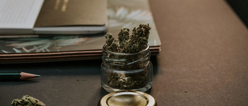 How the Use of Marijuana is Impacting Society