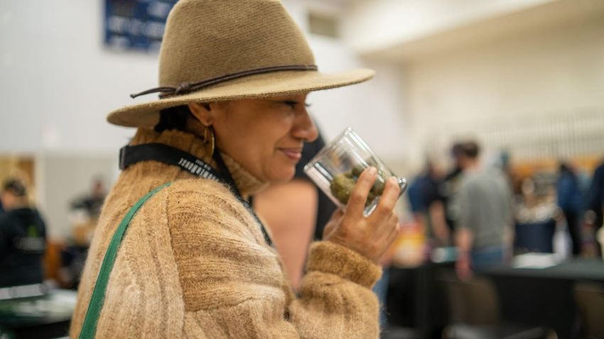  New York Cannabis Is A Legal Market In Limbo, Sustained By Community Events