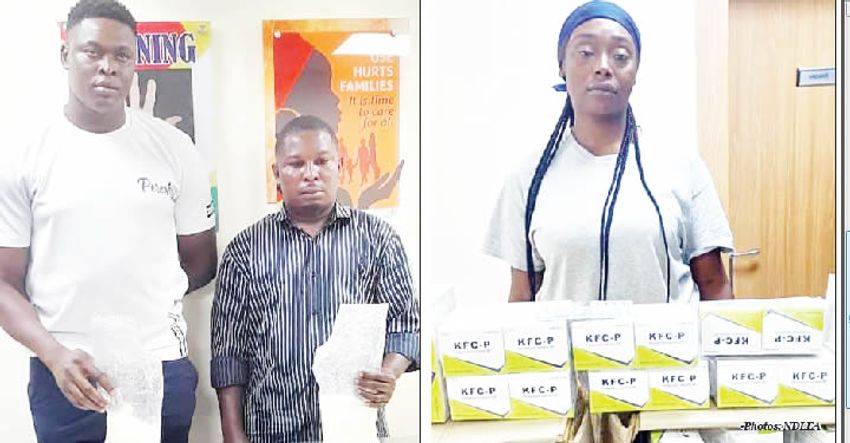  NDLEA nabs Qatar-based drug barons, seizes cannabis, others