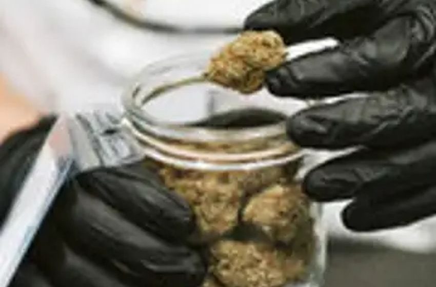  Oregon Town’s Marijuana Boom Yields Envy in Idaho