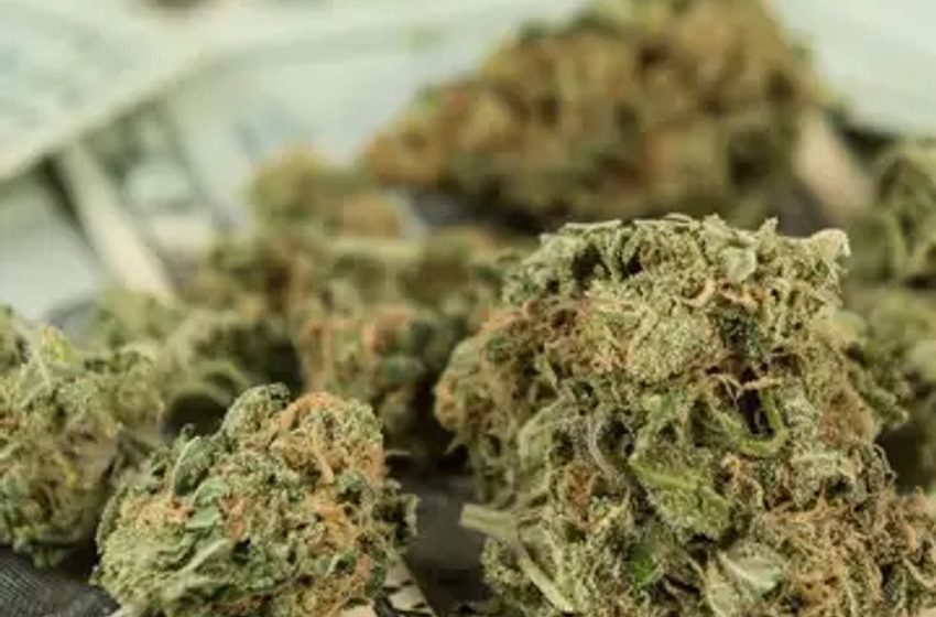  $245 Million in Legal Marijuana Purchased in Michigan in May
