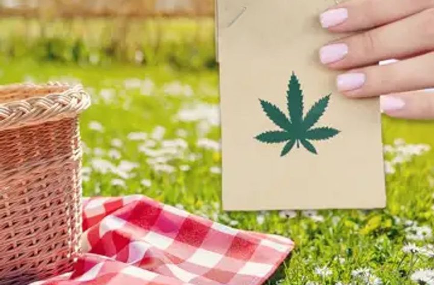 Picnic With The Hottest New Cannabis Products: Signature Strains, Vapes, K. Haring Glass Testers & More