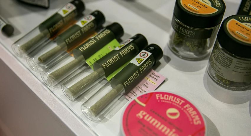 Key official behind slow rollout of legal weed shops exits NY Cannabis Control Board