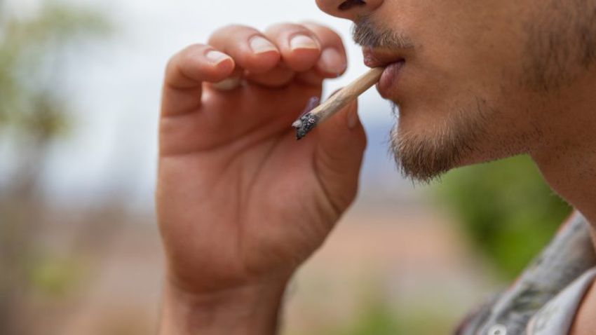  Cannabis: Study backs risk-led approach, France still pushing criminalisation