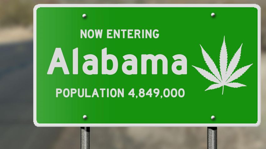  Alabama Regulators Issue State’s First Medical Marijuana Licenses
