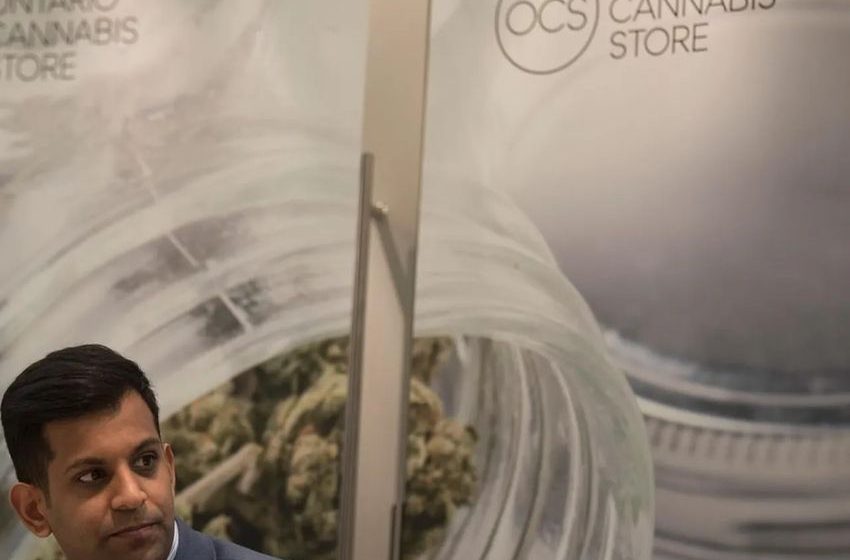 Cannabis price ‘race to the bottom’ hurts market’s future: OCS CEO