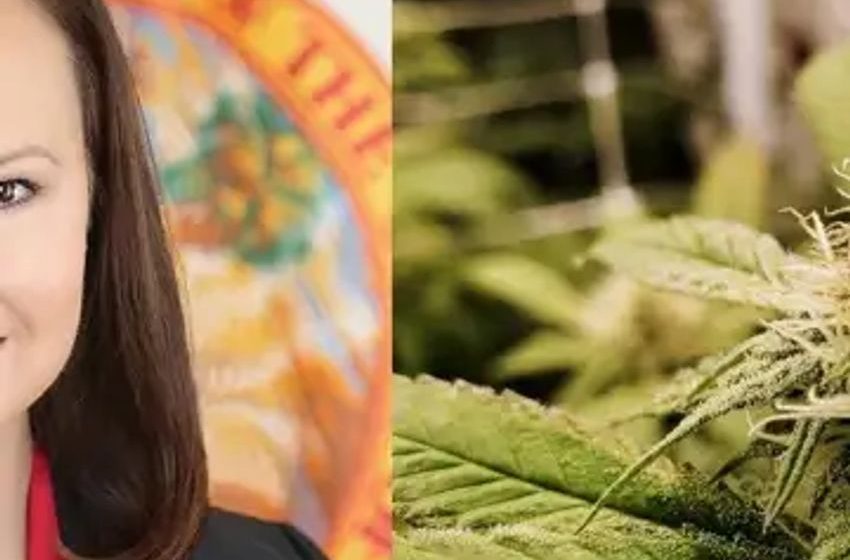  Florida Supreme Court Extends Deadline For Attorney General In Cannabis Ballot Challenge