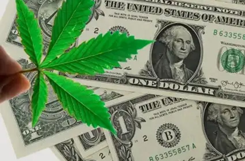 Weed Giant Aurora Reports FY Gross Profit Collapse: From CA$21.2M To CA$775K