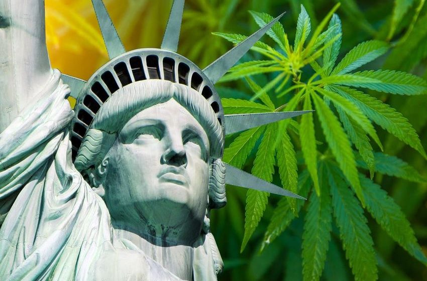  NY’s Emergency Effort To Curb Illegal Weed Shops Are Key For Market To Succeed, Says Industry Lawyer