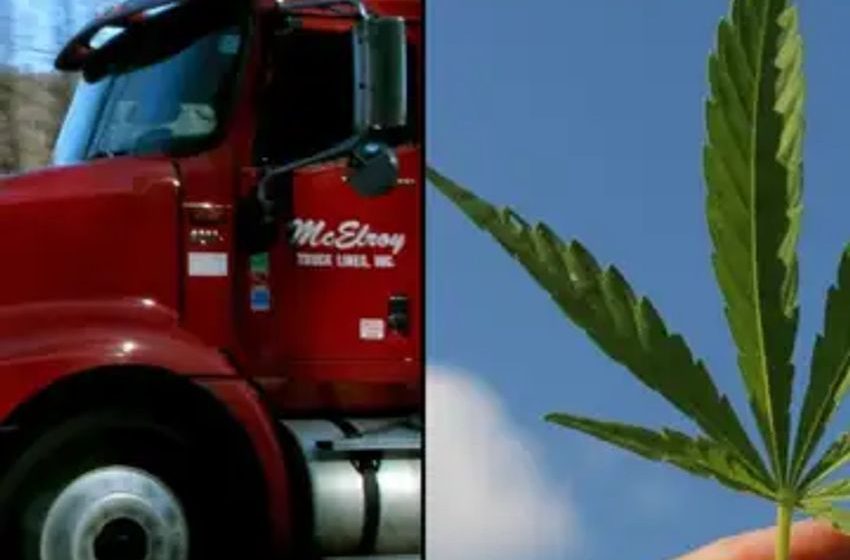 Majority of truckers support cannabis legalization and testing reform amid labor shortage, industry report finds