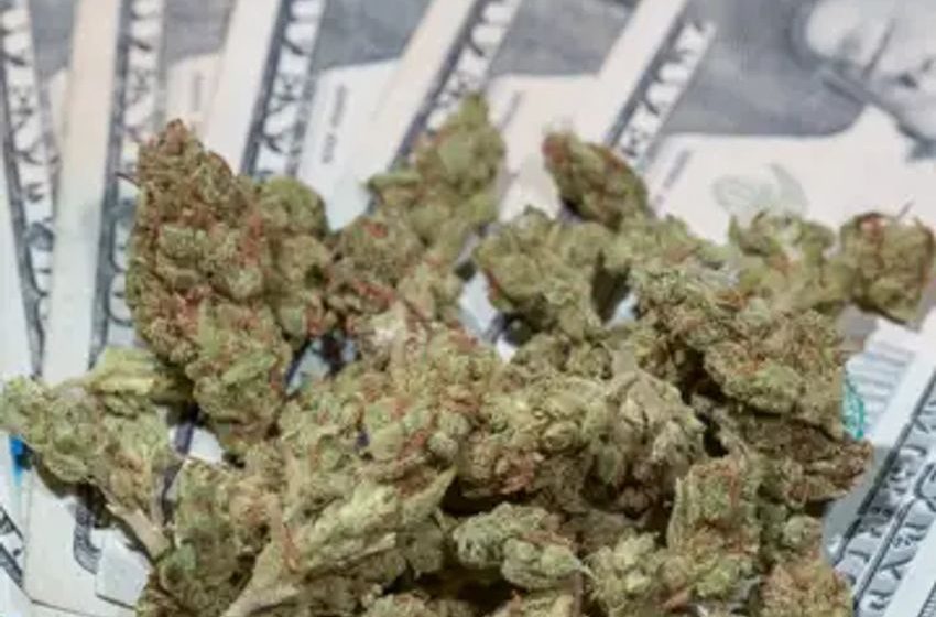  Florida Marijuana Ballot Measure Would Net Up To $431 Million In Annual Tax Revenue, Analysts For DeSantis And Lawmakers Say
