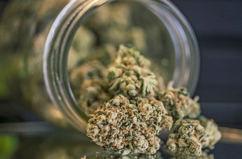 Cannabis worth almost €500k found in sports bags at Wexford car crash scene