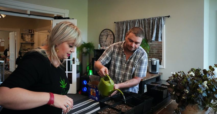  Minnesotans prepare to grow cannabis at home