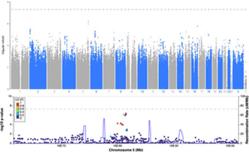  Genetics of cannabis use in opioid use disorder: A genome-wide association and polygenic risk score study