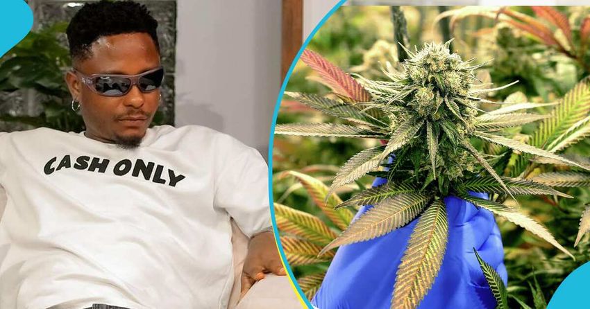 Kelvyn Boy Reveals Plans To Plant Narcotic Plants After Legalization By Parliament