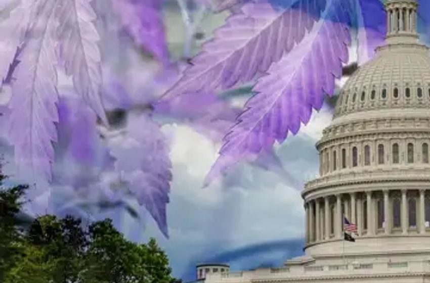  VA Docs May Soon Recommend Medical Marijuana, Psychedelics Research: Bill Gets House Greenlight