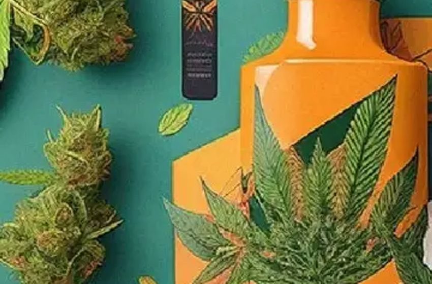 New Cannabis Products For Your Vacation: THC Lemonades, Mini Pre-Rolls, Laser Bongs, Concentrate Vapes And More!