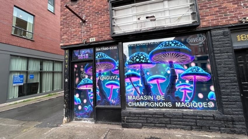 A magic mushroom dispensary is about to open in Montreal. The only problem? It’s illegal