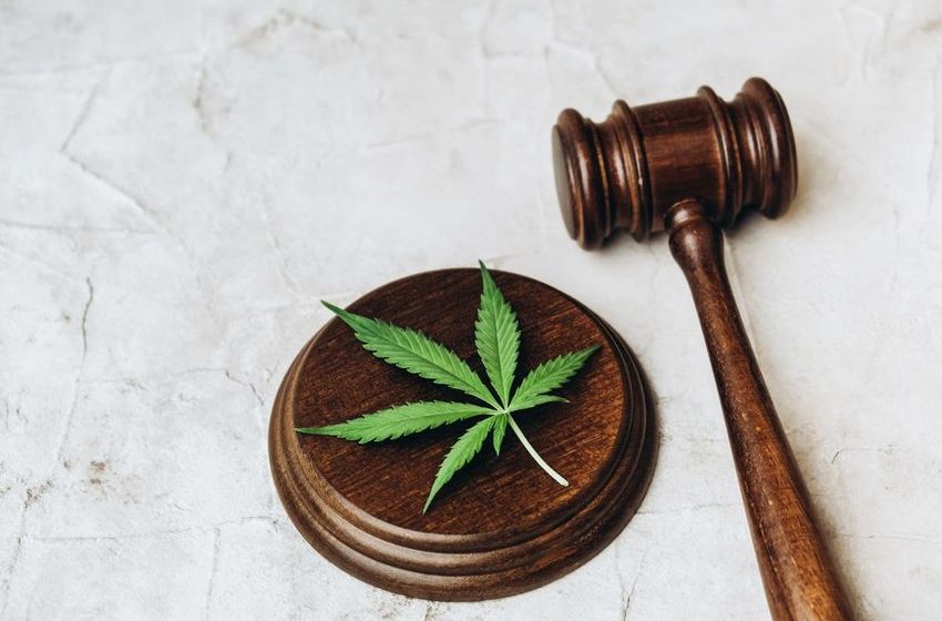 Florida Attorney General Gets More Time To Challenge Marijuana Legalization Initiative
