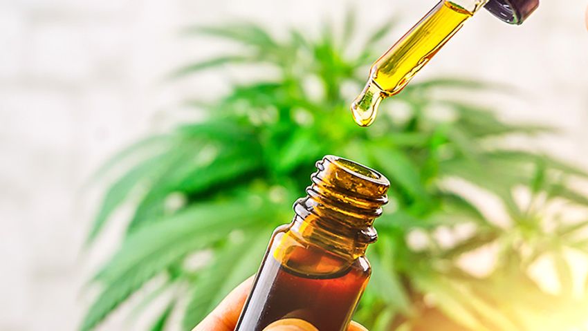  Analysis: One in Seven Use Cannabis to Recover from Work-Related Injuries