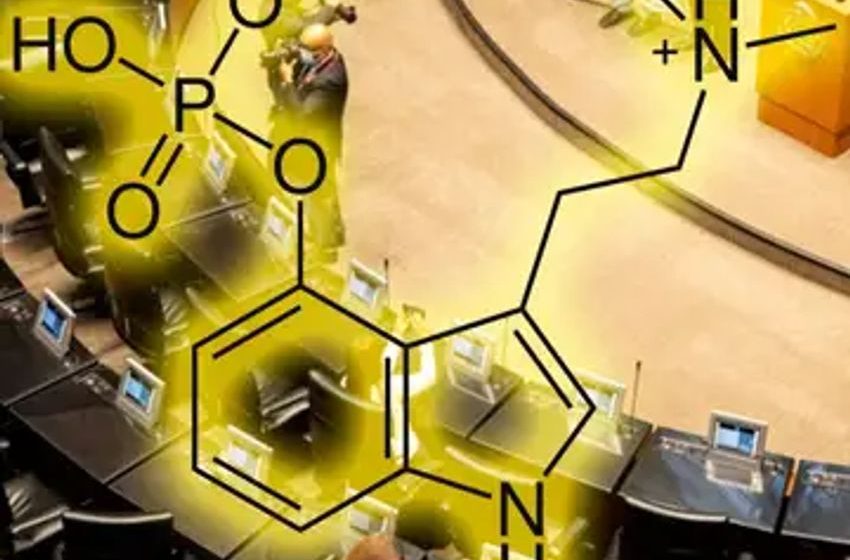 Congressional Lawmakers Persist On NDAA Psychedelics Amendment Despite House Committee Obstacles