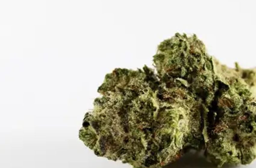 Should You Check-In Or Carry-On Your Weed? Airline Staff Caught Stealing Massive Amounts Of Cannabis From Checked Bags
