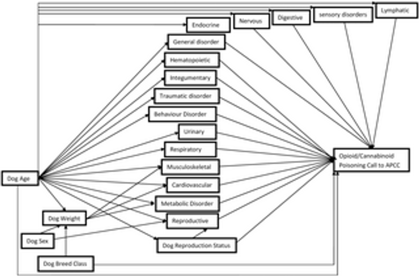  Comparing the diagnostic performance of ordinary, mixed, and lasso logistic regression models at identifying opioid and cannabinoid poisoning in U.S. dogs using pet demographic and clinical data reported to an animal poison control center (2005–2014)