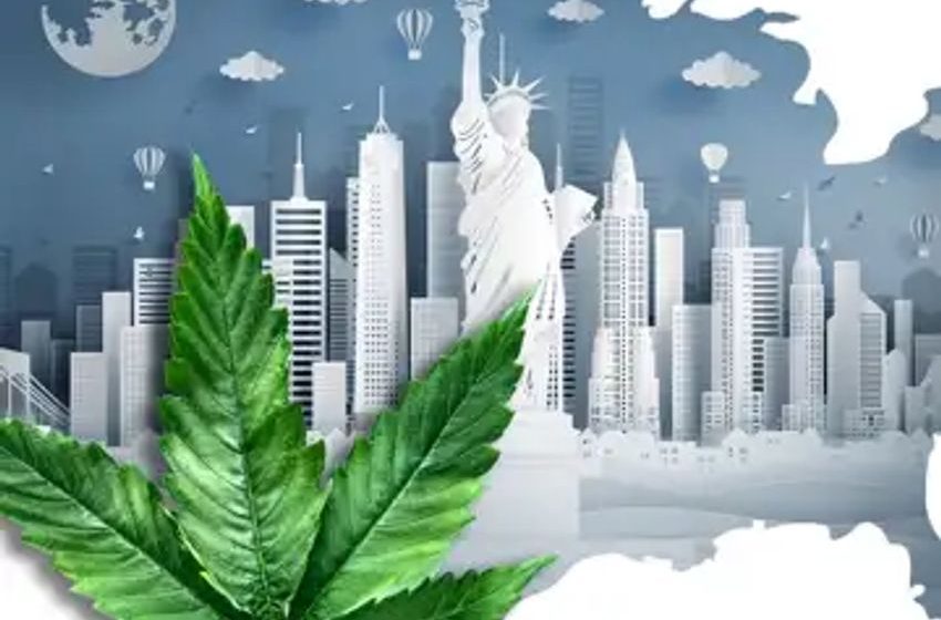  Cannabis Regulations In California, Alabama, Minnesota & New Mexico Sales Surge, Colorado’s Decline