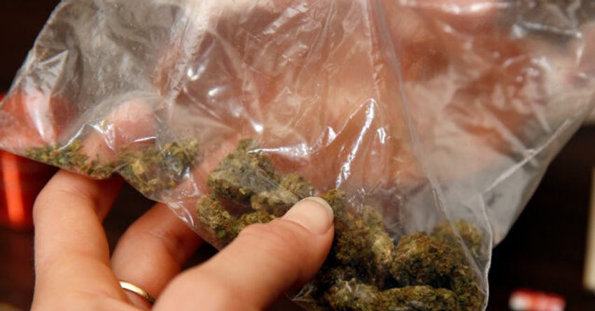 Secret Service Reveals Marijuana Twice Found in Biden’s White House