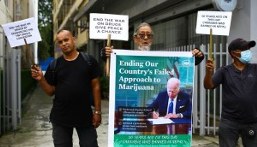 Demonstration organized demanding legalization of marijuana farming