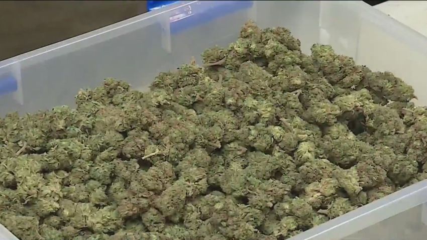 Study: Smoking marijuana could lead to serious complications, including death