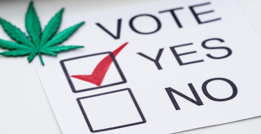 More Than A Million Voters Want Florida Marijuana Legalization Initiative On 2024 Ballot