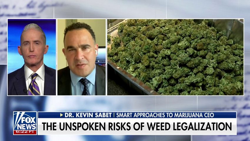 Marijuana legalization movement linked to a ‘massive increase’ in mental illness in US, doctor warns
