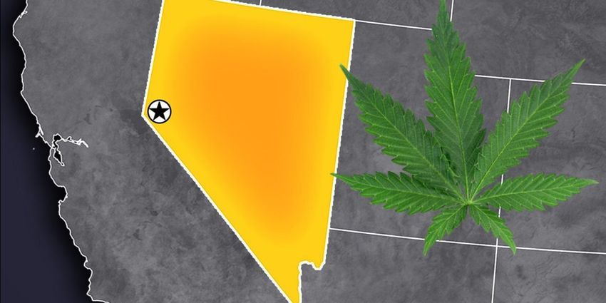  Nevada County board of commissioners saves people from dying after trying just one marijuana [Stupid]