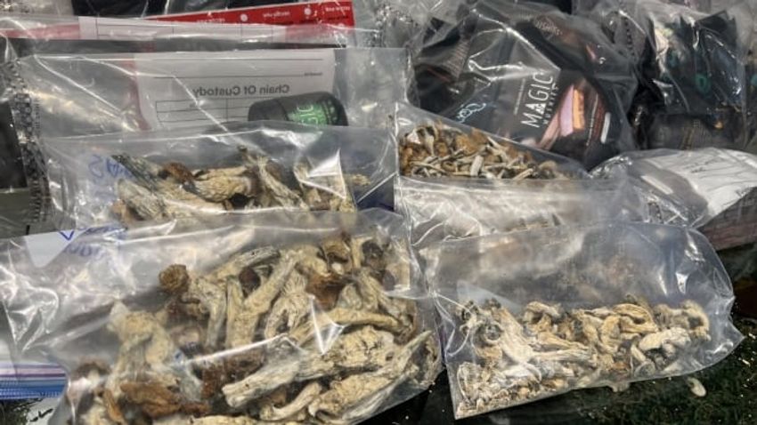  Burlington woman with MS says police busts at magic mushroom stores limit access to vital medicine