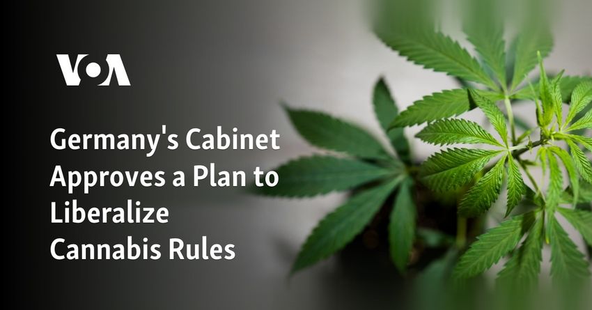  Germany’s Cabinet Approves Plan to Liberalize Cannabis Rules