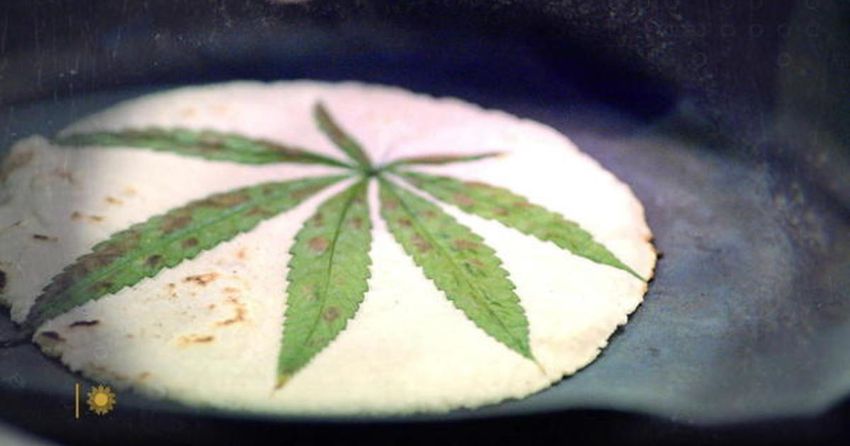  Cooking with grass