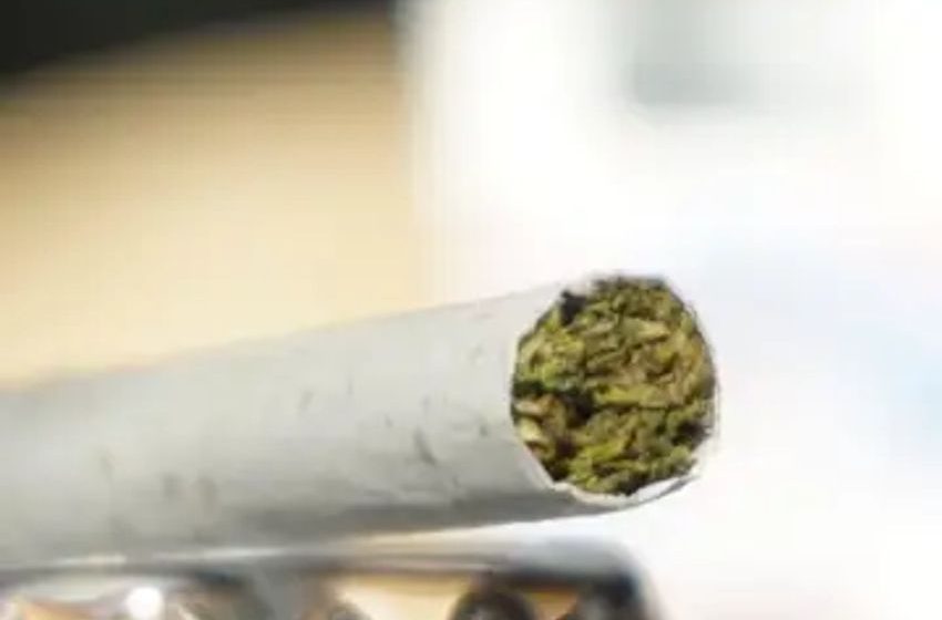 50% THC Infused Pre-Rolls For Medical Marijuana Patents Now Available, Thanks To This Pot Giant