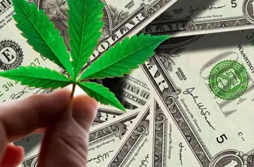  Which City In The World Has The Most Expensive Weed? Latest News From Portugal And Uruguay