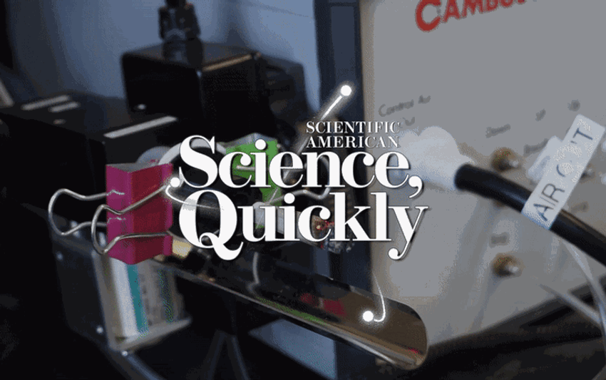  How to Roll a Joint Perfectly, According to Science