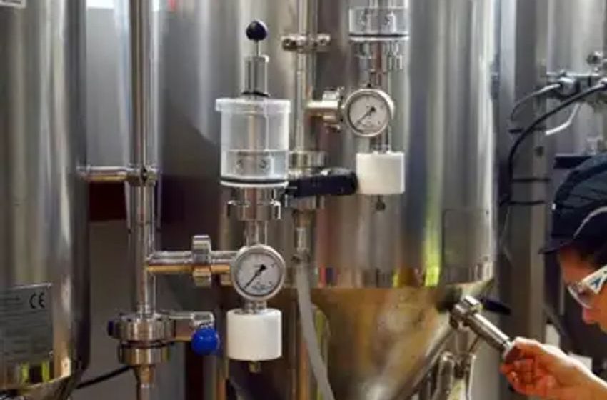  A Canadian cannabis company may soon own your favorite craft beer brands