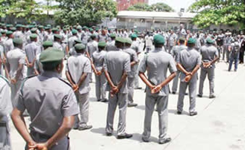  Kebbi Customs seize cannabis, donkey skin worth N164.8m