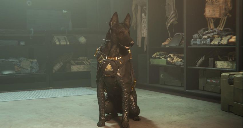  Dog of Duty makes a triumphant return in ‘Modern Warfare II’