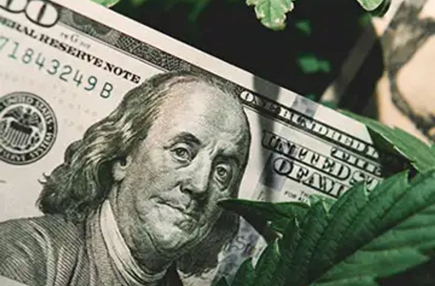  Colorado Marijuana Tax Revenue Surpasses That of Alcohol, Cigarettes