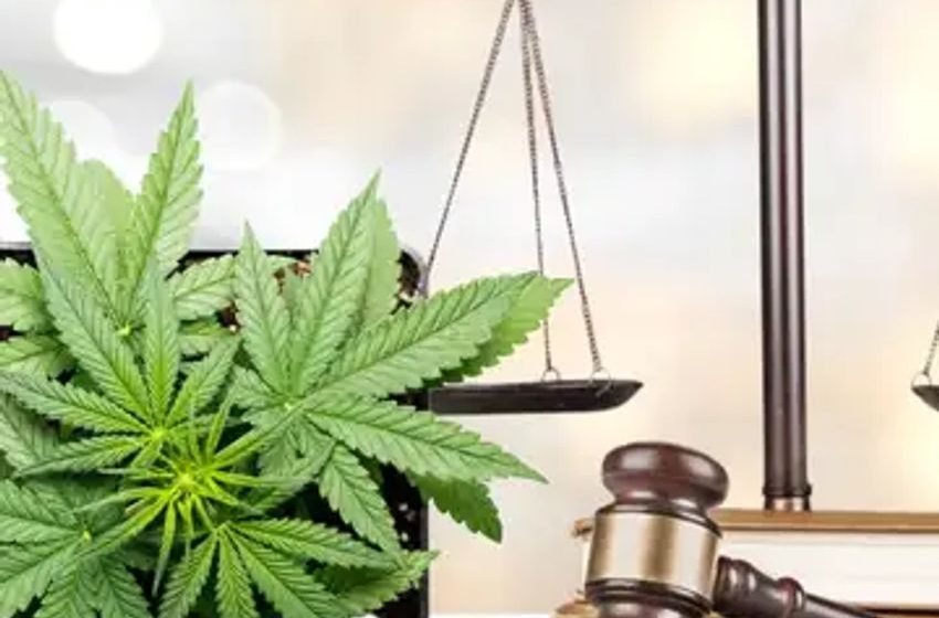  MariMed Sues Nevada Cultivation Company Over Lost Cannabis Licenses And $2.4M Stock Mismanagement