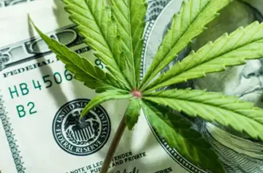  New Mexico Consumers Bought $45.7 Million in Legal Marijuana in July