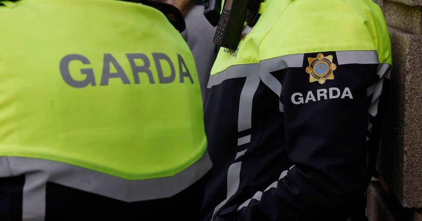  Cannabis valued at almost €300,000 seized in Co Louth