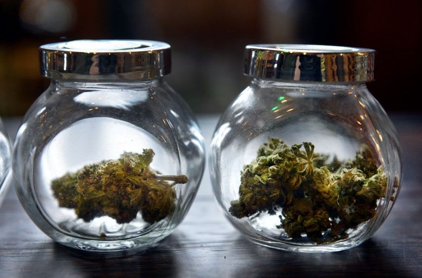  Colorado’s marijuana enforcement arm failed to inspect 1-in-3 new stores during COVID, audit finds