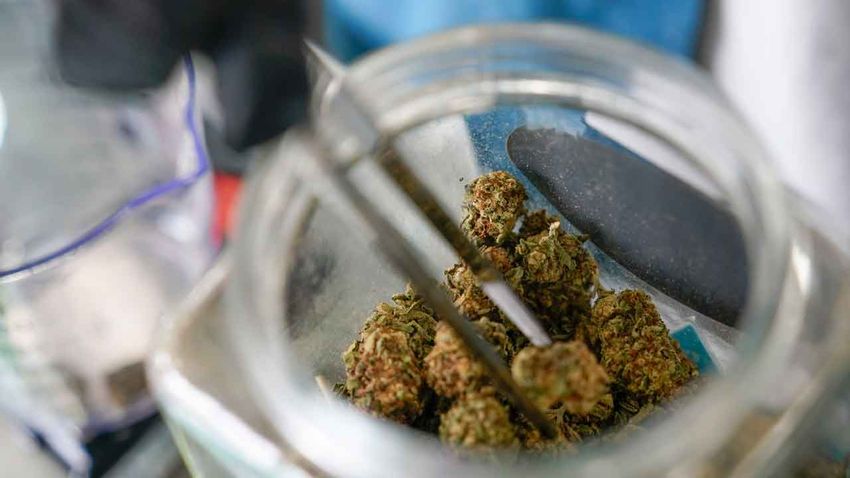  Bipartisan bill would allow people who consumed marijuana to gain federal employment
