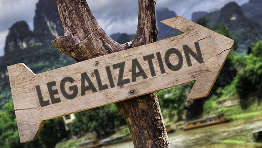  Gallup Polling Highlights Partisan Gap in Support for Marijuana Legalization